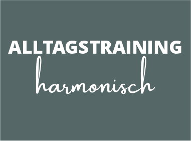 Alltagstraining